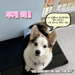 브로콜리의 목욕탕&구멍가게