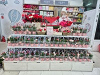 다이소 부천중동본점