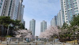 송림공인중개사사무소