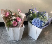 솔플레르
