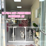 브로콜리의 목욕탕&구멍가게