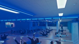 안은영 댄스 플러스