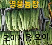 영풍농장