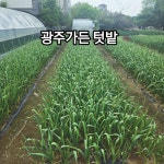 광주가든