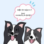 브로콜리의 목욕탕&구멍가게