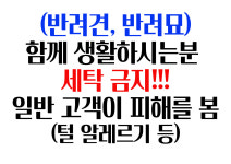뽀송뽀송코인워시 송우점