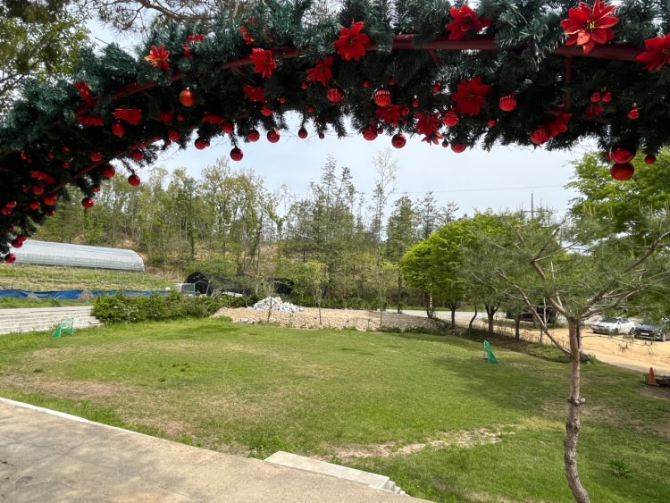 샬롬교회 사진 5