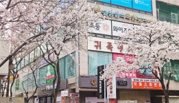 잉글리쉬파파마마귀족영어학원