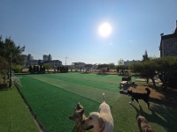 저스트도그 반곡점