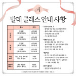 에이 댄스 발레 스튜디오