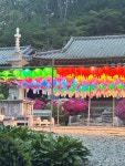 덕지사