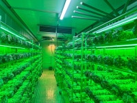 파머브라더스 농업회사법인