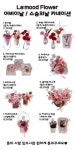 라무드플라워