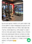 바디모어핏