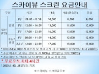 스카이뷰스크린골프