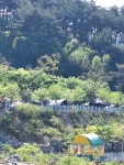 밀양캠프밸리관광농원