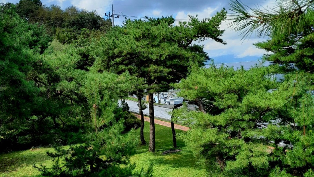 카페탑