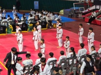 월드경희대태권도