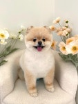 쓰담쓰담