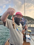 팀 아크호
