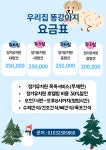 우리집똥강아지