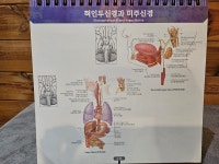 힐링중국정통마사지 안산고잔점