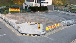 세종충대약국