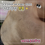 대구왁싱전문 드쥬르