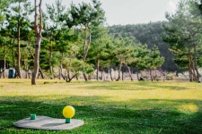 청통파크골프장