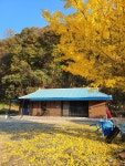 느리게스테이