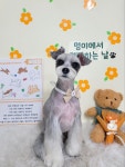 멍야옹실