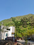 밀양캠프밸리관광농원