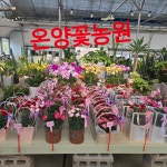 온양꽃농원