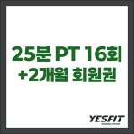예스핏트레이닝 서초PT