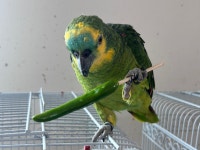 리프패럿 통영점