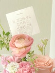 플레르로즈