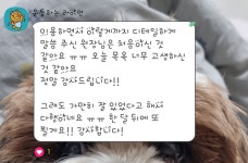 블루맘펫살롱