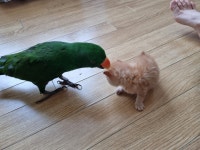 리프패럿 통영점