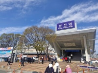새롬이산곰장어 | 우리산꼼장어