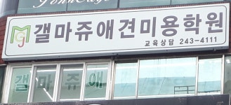 갤마쥬애견미용학원