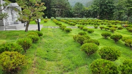 수목장,납골당,공원묘지,후불상조,개장,이장상담센타