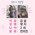 냥카페루브