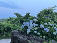 낙천리장