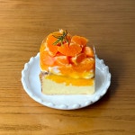 카페 체리쉬