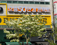 으뜸50안경 부산정관점