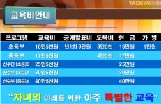 석사경희대태권도