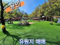 유라인부동산중개법인