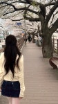 뉴문 붙임머리 | 뉴데이붙임머리