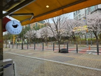 카페 만월경 한빛마을점