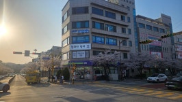 교동알파인영어학원